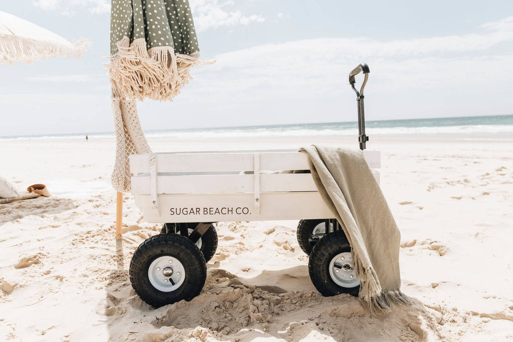 Beach cart on a sandy golden beach