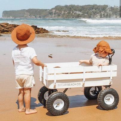 Kids playing in a cart on the beach